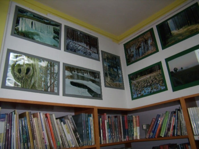 Wnętrze biblioteki, na ścianie wiszą prace ''Mazurskie obrazki'' R. Szczepańskiego.
