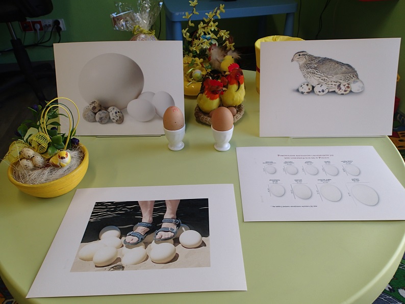 Na stoliku leży żółty koszyczek z jajkami oraz ilustracje z namalowanymi jajkami.
