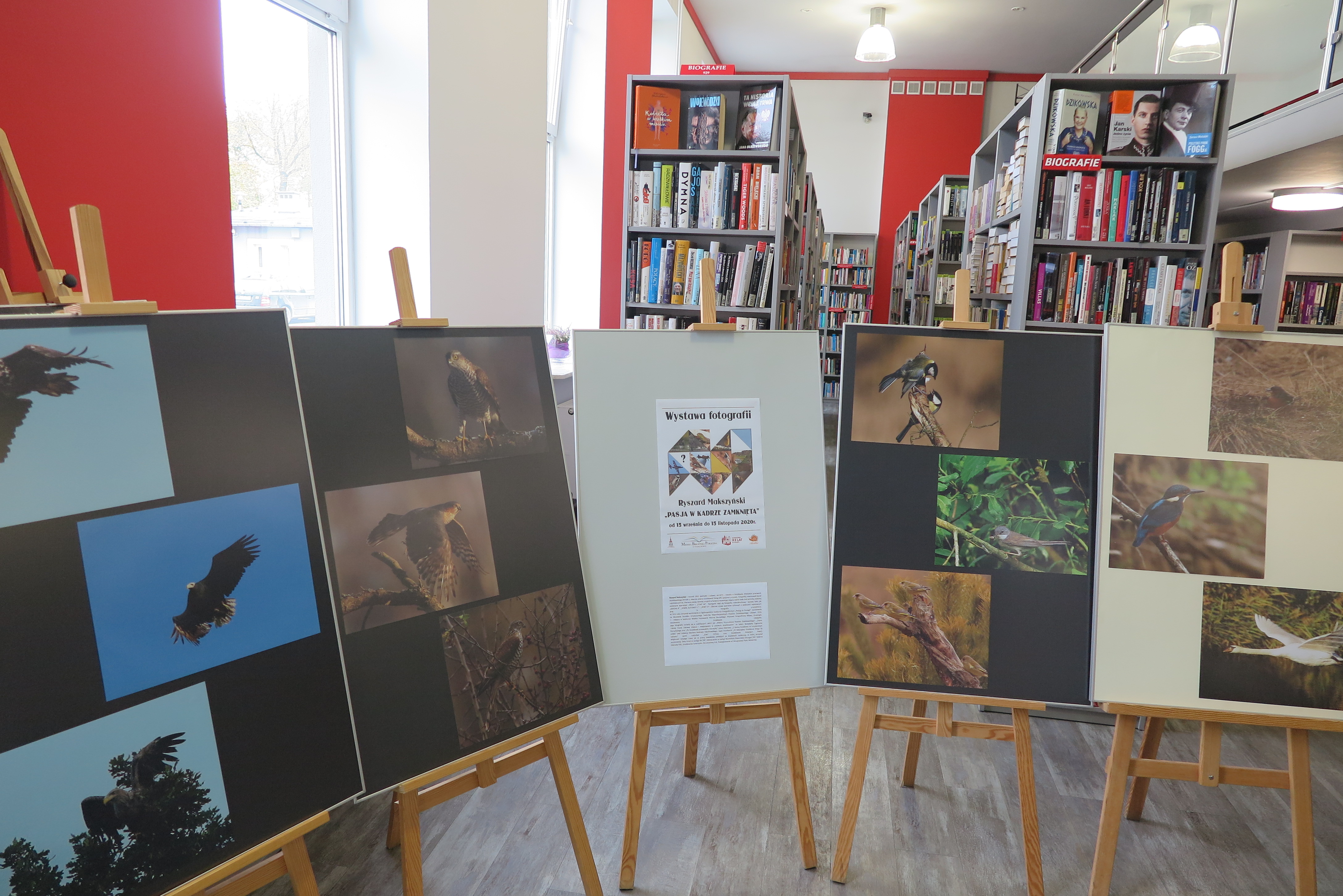 Wnętrze biblioteki w Działdowie 5 sztalug przedstawiających wystawę ptaków Ryszarda Makszyńskiego. 