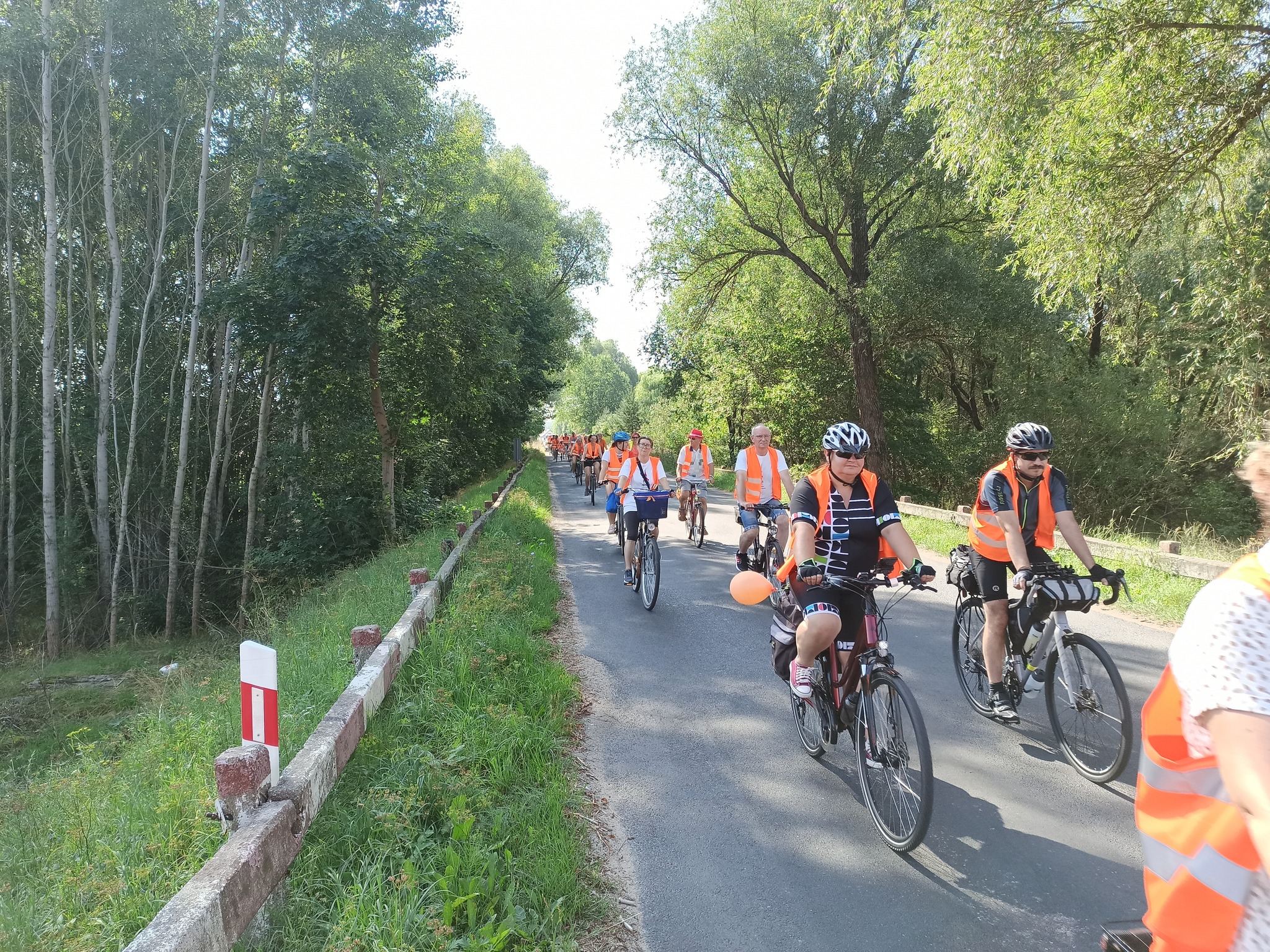 uczestnicy rajdu rowerowego jadą drogą publiczną (przez zalesione tereny), wszyscy mają założone pomarańczowe kamizelki odblaskowe z napisem Odjazdowy Bibliotekarz